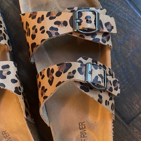 Wolf River size 9 - Picture 6 of 7